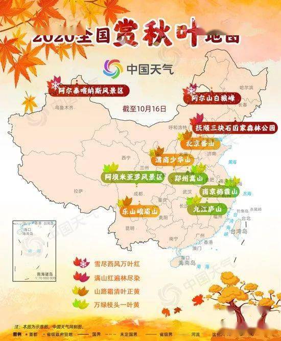 秋叶海棠中国地图 搜狗图片搜索