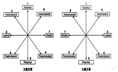 关于本体感觉测评中的平衡能力测试方法的研究 