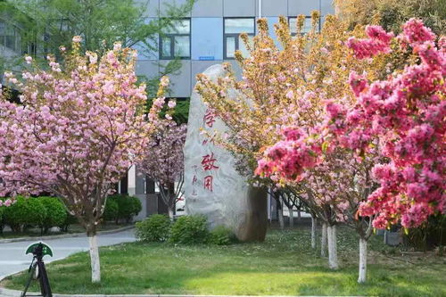 北京联合大学好不好,八大校区,坐拥京城