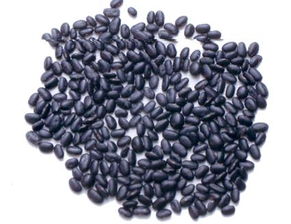 黑豆苗的种植方法,黑龙江省第三积温带种植黑小豆什么时间合适
