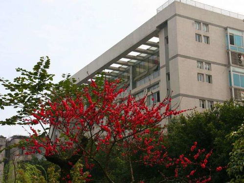 潼南电力大学，重庆电力高等专科学校有哪些专业