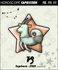 十二星座代表什么猫