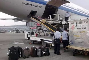 坐飞机时这个环节要小心,否则行李可能被偷