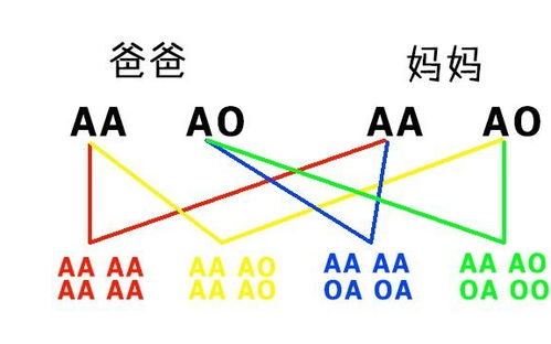 妈妈是O型血,宝宝不会是AB型血,这些血型遗传规律你知道吗