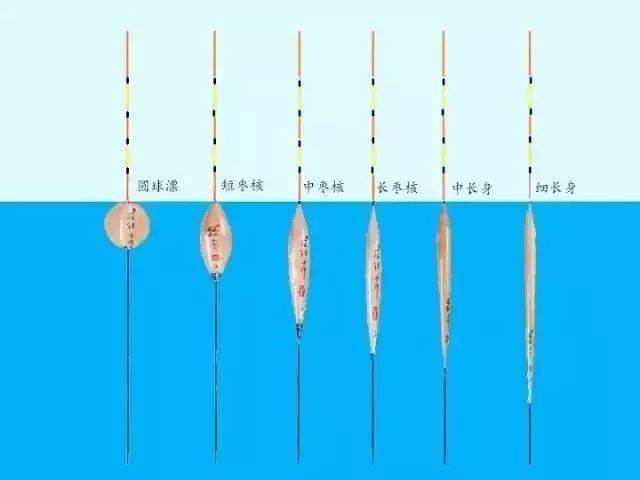 常见漂型解析 想钓好鱼,就得懂浮漂