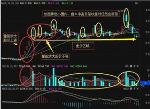 在股市中炒低什么意思那？