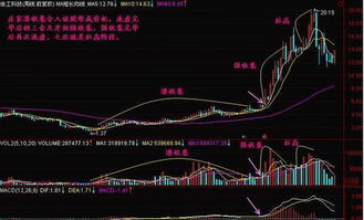 正纳闷，为什么今年黄豆价格如此的不稳定，像股票一样！谁也看不透？