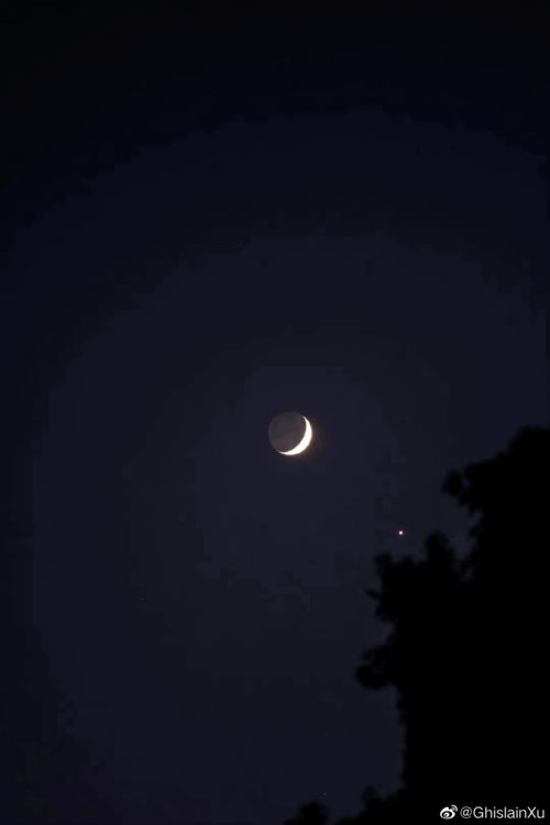 月亮返照盘 月亮拱金星