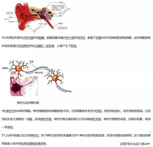 初中生物(初中生物课程标准是什么？)