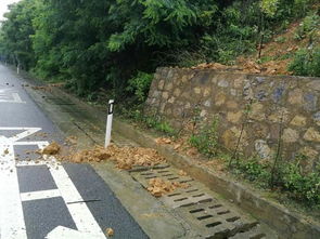 遵义城区多地暴雨 部分高速路段有泥石滚落