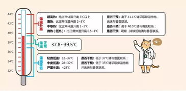 一张图学会给猫量体温的3个正确姿势