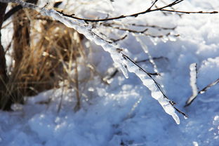 冬日玩雪，美好无垠，冬天玩雪的美好词语有哪些