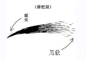 扫帚眉面相 男人女人扫把眉面相