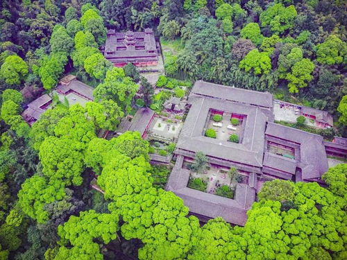 峨眉山有哪些停车场(伏虎寺免费停车场)