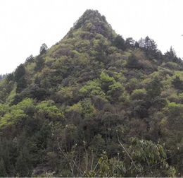 观音山旅游地学文化大观