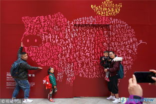 Visitor to Nanjing green expo garden 