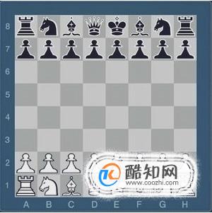 国际象棋入门教程 国际象棋的入门知识和基本的下棋方法