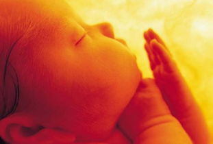 胎儿大小和孕周不一致的情况，要如何纠正预产期？