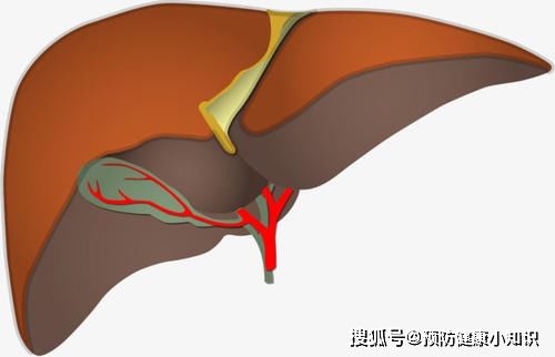 得了肝癌,在睡觉时可能会有哪些异常 医生这么说