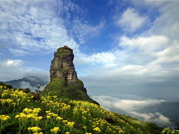 重庆到梵净山旅游 梵净山单卧单座三日游