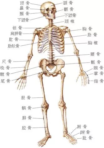 骨科护理的那些基本知识,你都了解了么