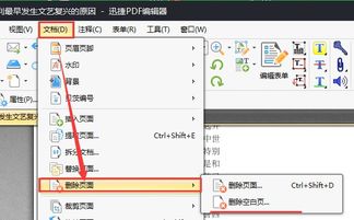 毕业论文pdf如何删除空白页