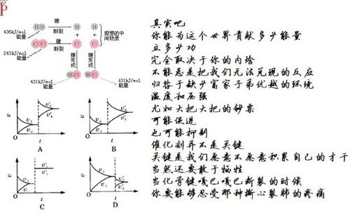 无标题