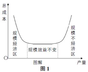 试分析投资规模经济的利弊