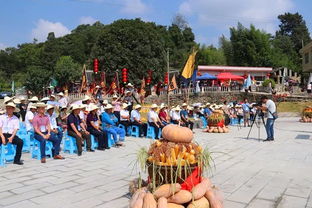 丰收节哪个民族的节日(丰收节什么民族)