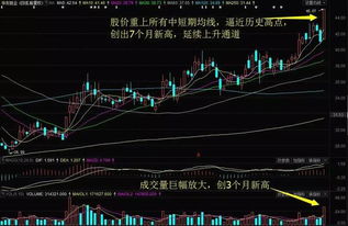 某只股票连续跌停，连续下跌，在阶段性底部突然连续三天成交量放天量，然后股价没有跌停，基本这三天都跌