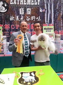 西城红场 首届 大志欧洲宠物 杯哈尔滨宠物展暨CAA世界名猫欣赏 