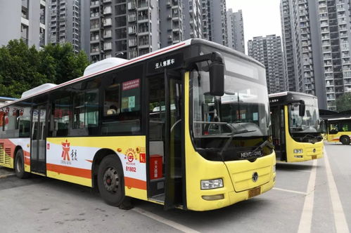 严防 8日起重庆主城区暂停使用老年人公交免费卡