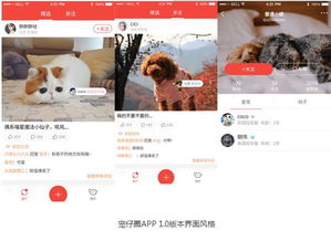 宠仔圈宠物直播app下载 宠仔圈app 安卓版v1.5.4 