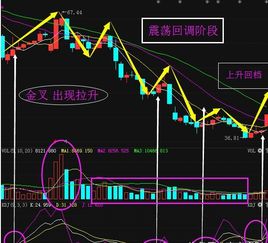 002393这个股票为什么一路下跌，从没什么表现