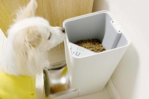 小米米家智能宠物喂食器开箱体验 定时定量喂食,断电断网也不怕