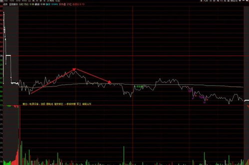 通达信盘口分时成交怎么看看对倒