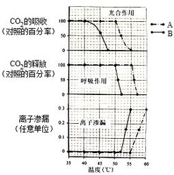 光合反应暗反应中C3化合物与C5化合物有什么不同吗