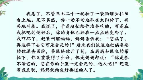 清风悠悠的解释词语（悠悠清风的意思？）