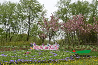 花朝节在几月几日(花朝节是什么时候)