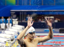 男子游泳1500米世界纪录(龙陵自由泳***)