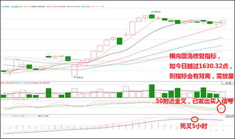 2022年上证指数和创业板指数一起涨吗