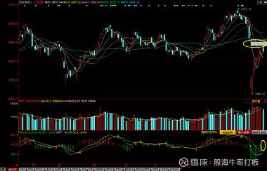 洛阳钼业股票代码是多少