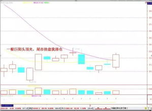 8月18日医美龙头股：太极集团跌幅超过5%