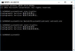 win10设置新连接错误734