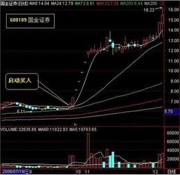 股票基础知识 连续涨停 股票怎么买入