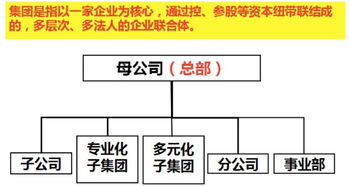 集团的概念是什么？