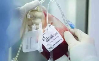 储存脐带血 如何保存脐带血
