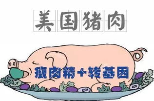 美毒猪肉入侵,养猪人穷死,吃肉人毒死