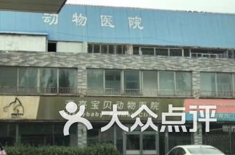 北京朝阳区宠物医院排行 