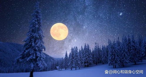 2月春节后第一轮满月,狮子座满月能量下,我们需要知道的5件事
